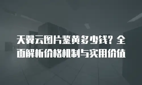天翼云图片鉴黄多少钱？全面解析价格机制与实用价值