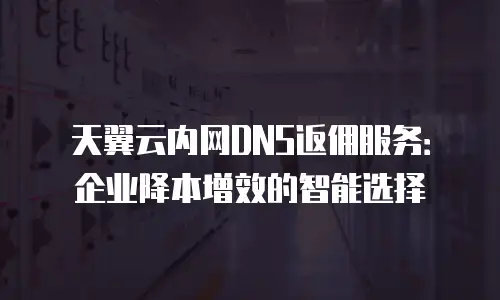 天翼云内网DNS返佣服务：企业降本增效的智能选择