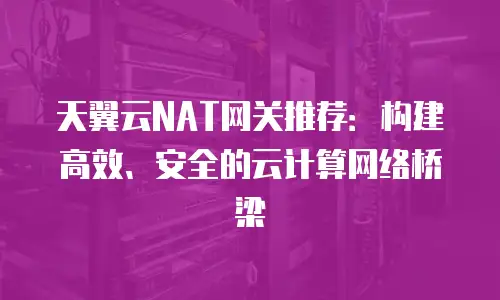 天翼云NAT网关推荐：构建高效、安全的云计算网络桥梁