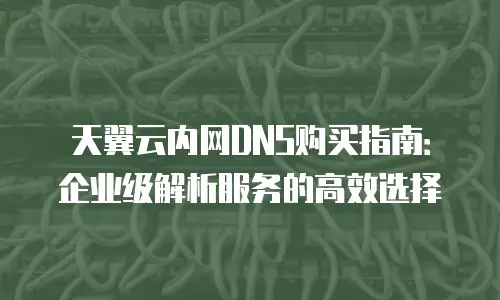 天翼云内网DNS购买指南：企业级解析服务的高效选择