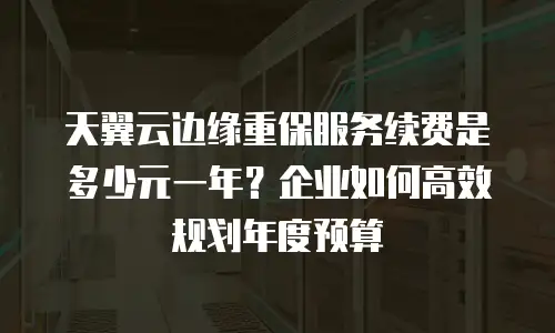 天翼云边缘重保服务续费是多少元一年？企业如何高效规划年度预算