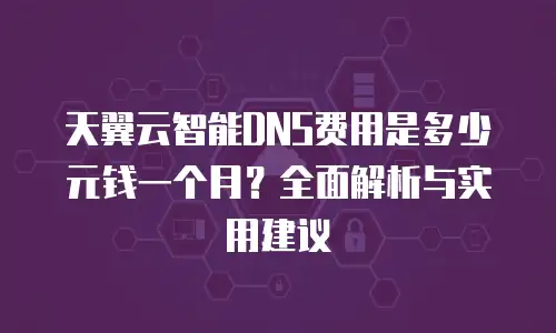 天翼云智能DNS费用是多少元钱一个月？全面解析与实用建议