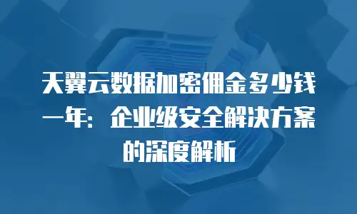 天翼云数据加密佣金多少钱一年：企业级安全解决方案的深度解析