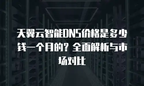 天翼云智能DNS价格是多少钱一个月的？全面解析与市场对比