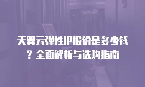 天翼云弹性IP报价是多少钱？全面解析与选购指南