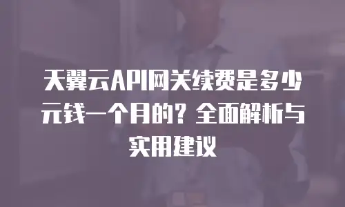 天翼云API网关续费是多少元钱一个月的？全面解析与实用建议