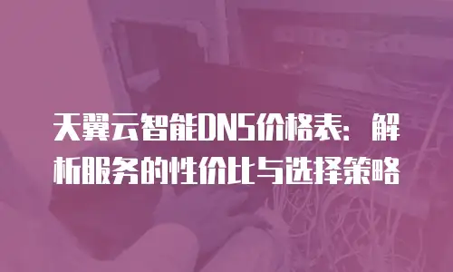 天翼云智能DNS价格表：解析服务的性价比与选择策略