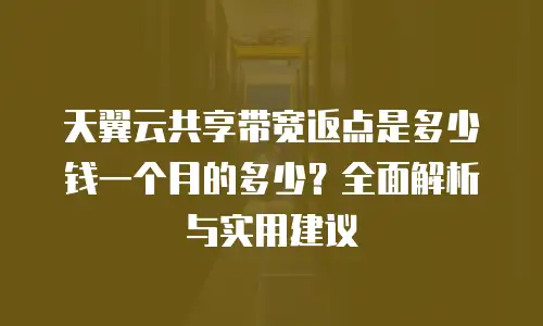 天翼云共享带宽返点是多少钱一个月的多少？全面解析与实用建议