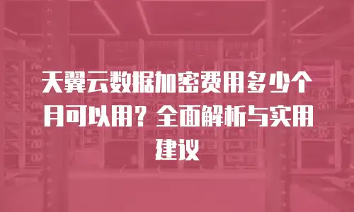 天翼云数据加密费用多少个月可以用？全面解析与实用建议