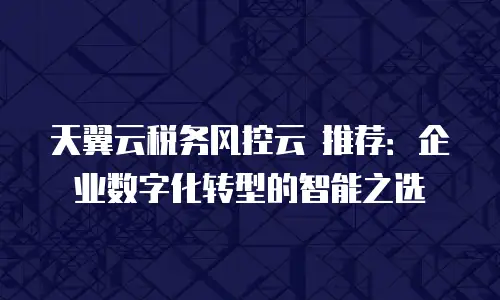 天翼云税务风控云 推荐：企业数字化转型的智能之选