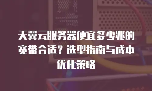 天翼云服务器便宜多少兆的宽带合适？选型指南与成本优化策略