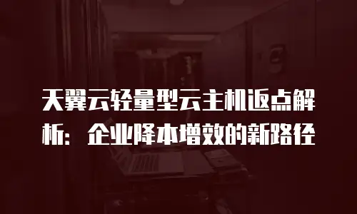 天翼云轻量型云主机返点解析：企业降本增效的新路径