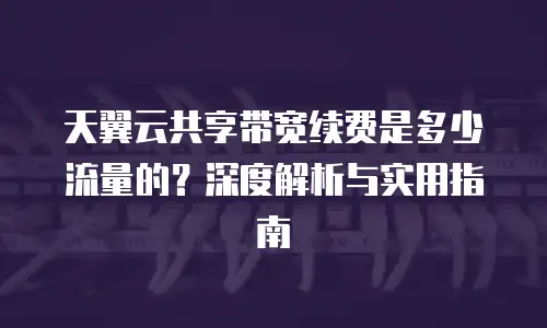 天翼云共享带宽续费是多少流量的？深度解析与实用指南