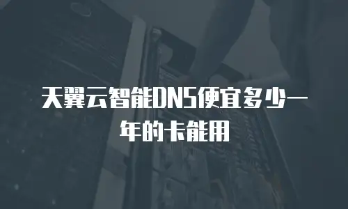 天翼云智能DNS便宜多少一年的卡能用