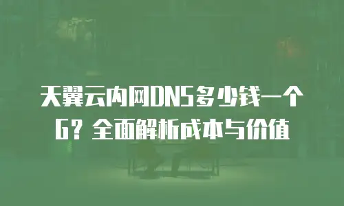 天翼云内网DNS多少钱一个G？全面解析成本与价值