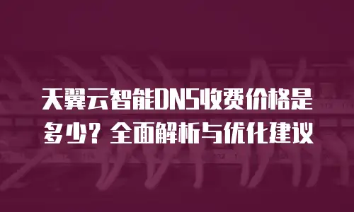 天翼云智能DNS收费价格是多少？全面解析与优化建议