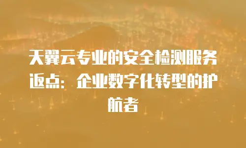 天翼云专业的安全检测服务返点：企业数字化转型的护航者