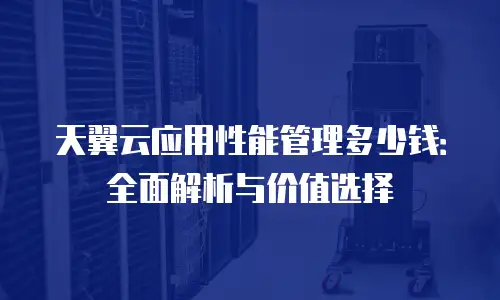 天翼云应用性能管理多少钱：全面解析与价值选择