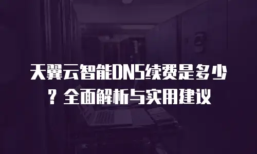 天翼云智能DNS续费是多少？全面解析与实用建议