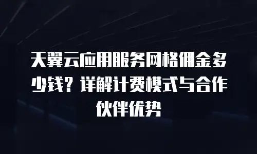 天翼云应用服务网格佣金多少钱？详解计费模式与合作伙伴优势