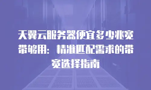 天翼云服务器便宜多少兆宽带够用：精准匹配需求的带宽选择指南