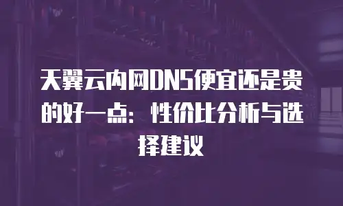 天翼云内网DNS便宜还是贵的好一点：性价比分析与选择建议