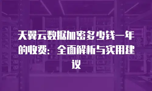 天翼云数据加密多少钱一年的收费：全面解析与实用建议