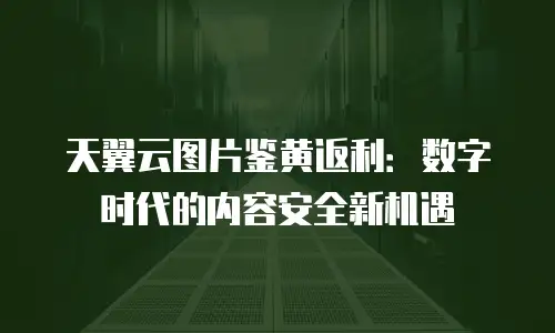 天翼云图片鉴黄返利：数字时代的内容安全新机遇