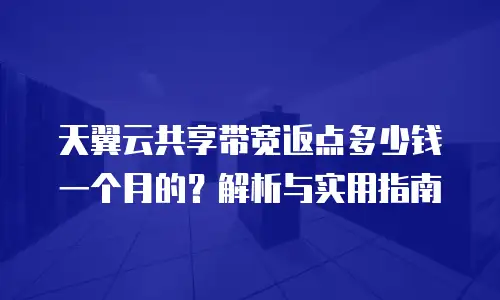 天翼云共享带宽返点多少钱一个月的？解析与实用指南