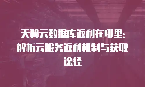 天翼云数据库返利在哪里：解析云服务返利机制与获取途径