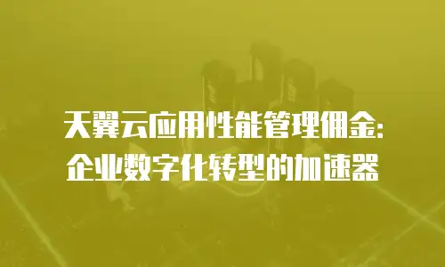 天翼云应用性能管理佣金：企业数字化转型的加速器