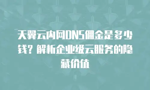 天翼云内网DNS佣金是多少钱？解析企业级云服务的隐藏价值