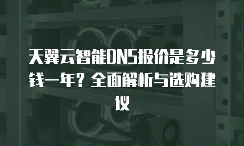 天翼云智能DNS报价是多少钱一年？全面解析与选购建议