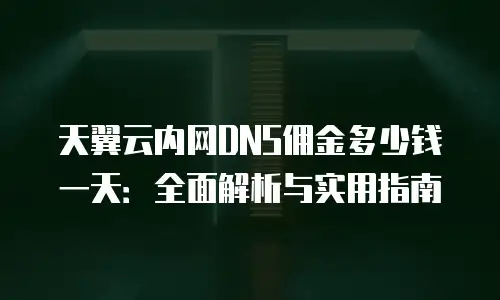 天翼云内网DNS佣金多少钱一天：全面解析与实用指南