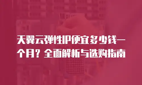 天翼云弹性IP便宜多少钱一个月？全面解析与选购指南