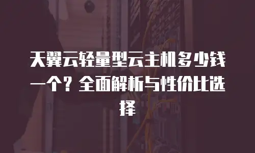 天翼云轻量型云主机多少钱一个？全面解析与性价比选择
