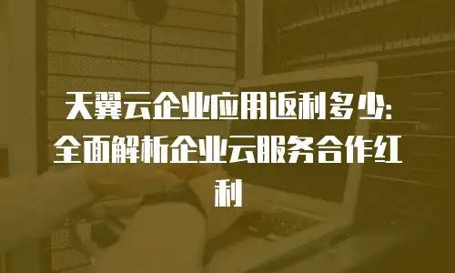 天翼云企业应用返利多少：全面解析企业云服务合作红利