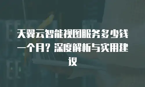 天翼云智能视图服务多少钱一个月？深度解析与实用建议