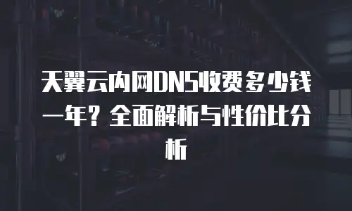 天翼云内网DNS收费多少钱一年？全面解析与性价比分析