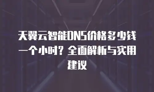 天翼云智能DNS价格多少钱一个小时？全面解析与实用建议