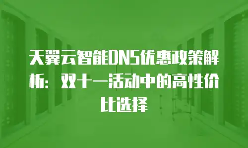 天翼云智能DNS优惠政策解析：双十一活动中的高性价比选择