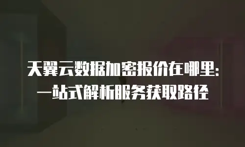 天翼云数据加密报价在哪里：一站式解析服务获取路径