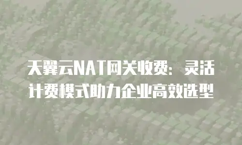 天翼云NAT网关收费：灵活计费模式助力企业高效选型