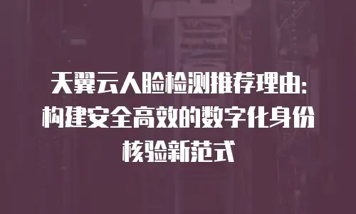 天翼云人脸检测推荐理由：构建安全高效的数字化身份核验新范式
