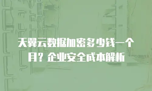 天翼云数据加密多少钱一个月？企业安全成本解析