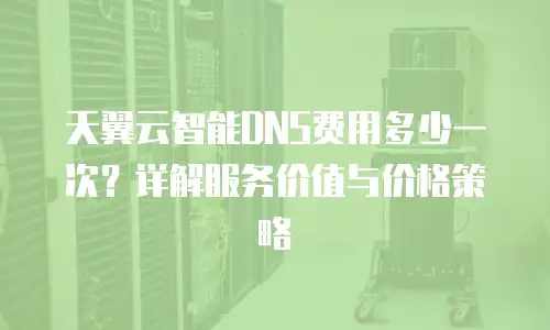 天翼云智能DNS费用多少一次？详解服务价值与价格策略