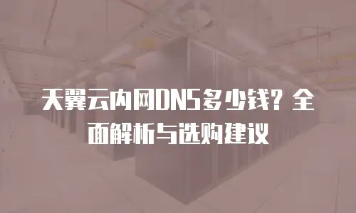 天翼云内网DNS多少钱？全面解析与选购建议