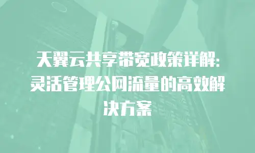 天翼云共享带宽政策详解：灵活管理公网流量的高效解决方案