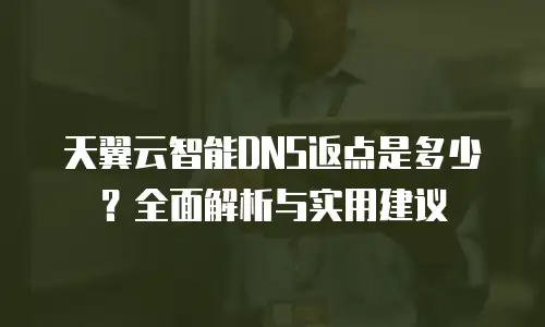 天翼云智能DNS返点是多少？全面解析与实用建议