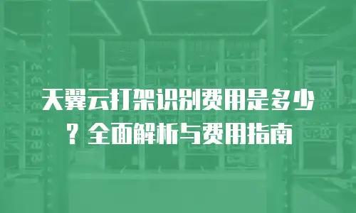 天翼云打架识别费用是多少？全面解析与费用指南